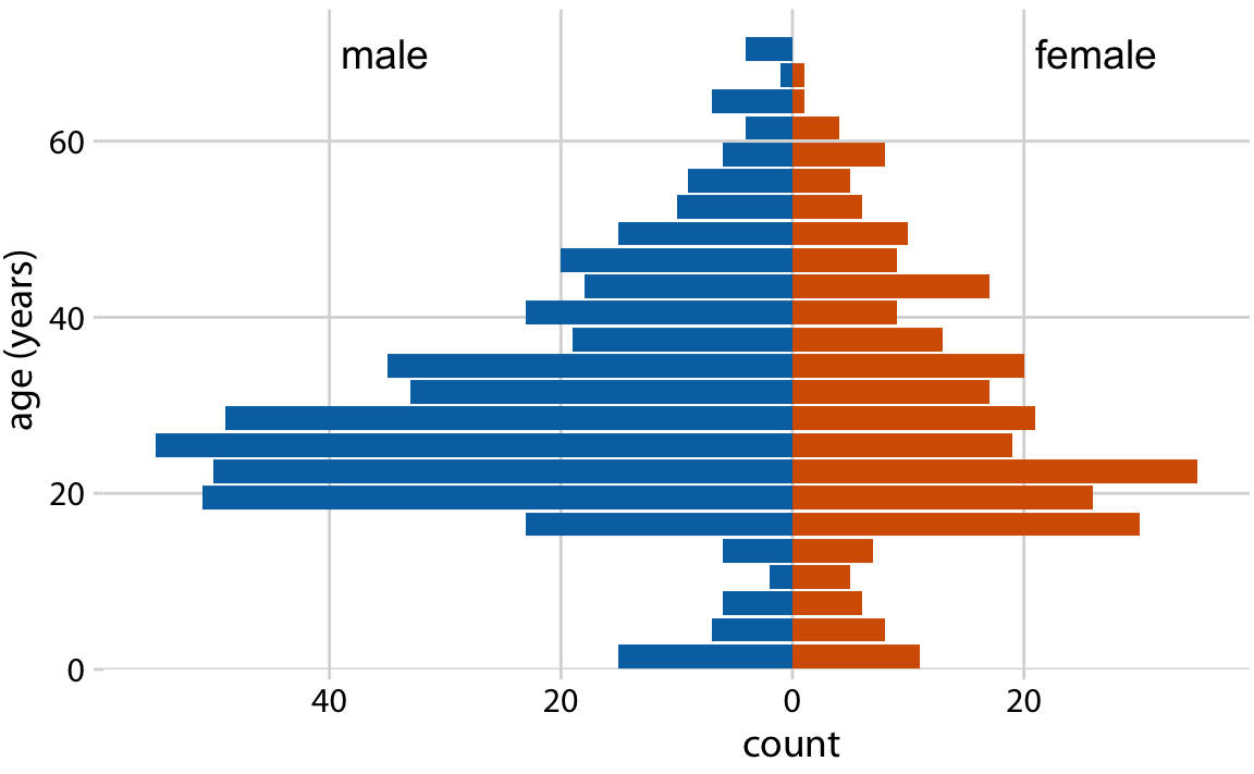 The age distributions of male and female Titanic passengers visualized as an age pyramid.